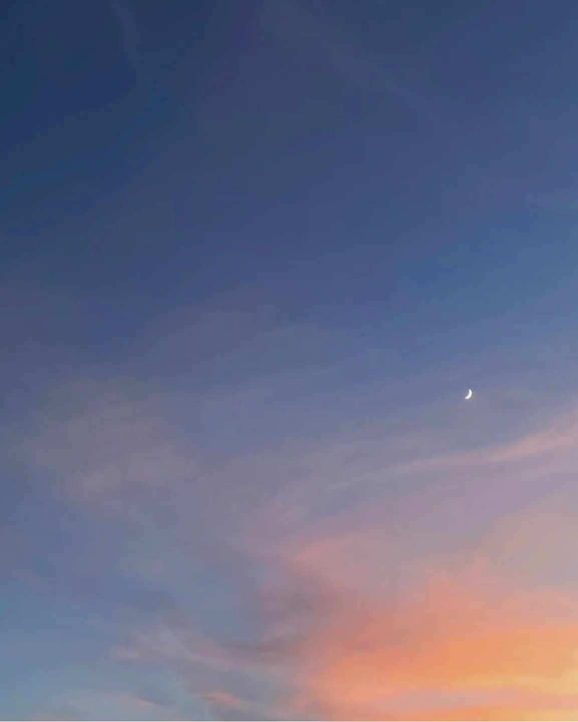 sou - 書斎、ときどき___の小部屋 -