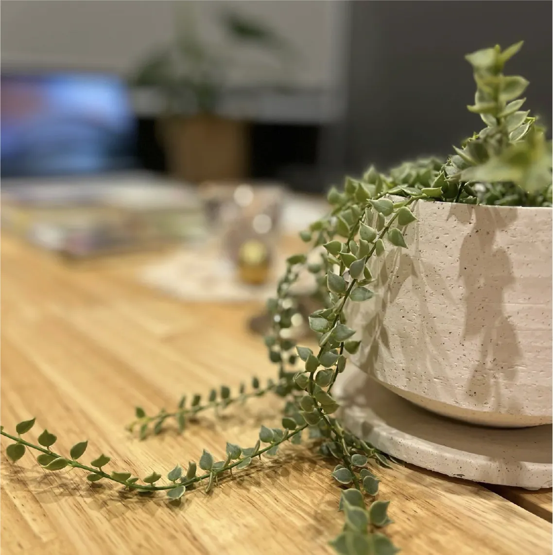 sou - 書斎、ときどき___の小部屋 -